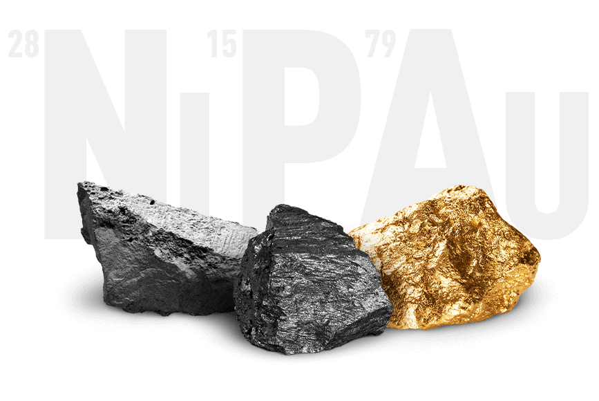 nip-altin-kaplama